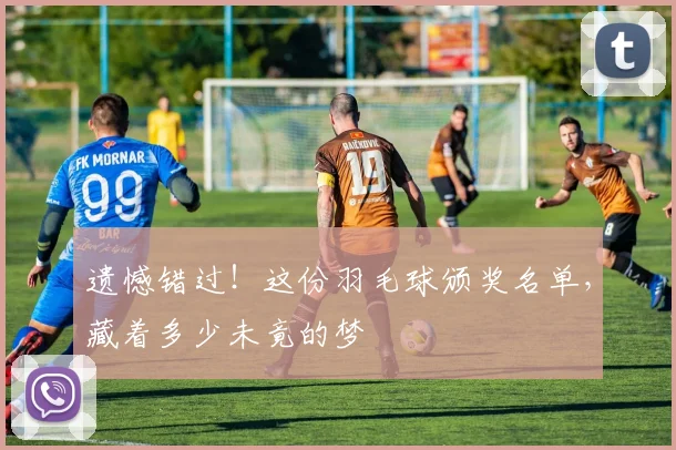 遗憾错过!这份羽毛球颁奖名单,藏着多少未竟的梦